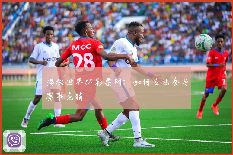 揭秘世界杯彩票网：如何合法参与赛事竞猜