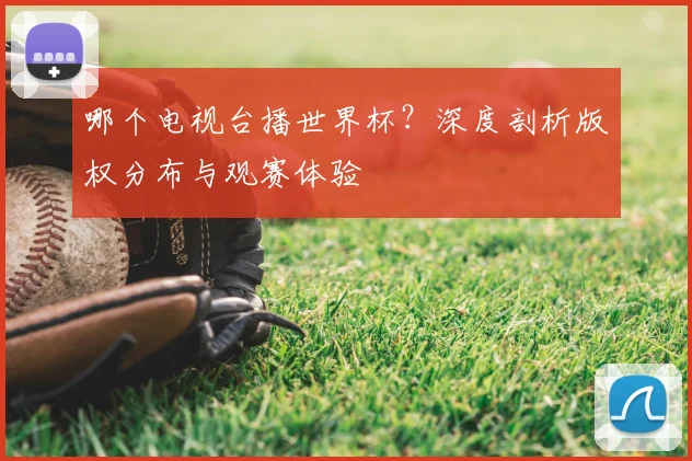 哪个电视台播世界杯?深度剖析版权分布与观赛体验