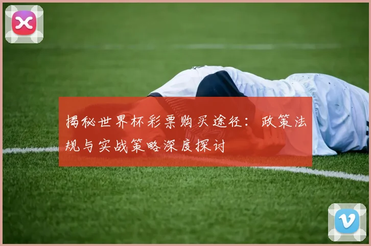 揭秘世界杯彩票购买途径：政策法规与实战策略深度探讨