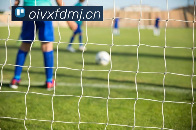 九游网页版登录界面APP 体育赛事宣传图